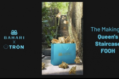 FOOH CAMPAIGN | BAHARI BAHAMAS The Strombus Queen